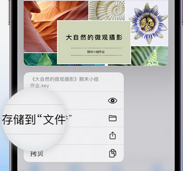 花都apple维修中心分享iPhone文件应用中存储和找到下载文件