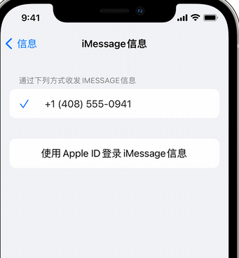 花都apple维修iPhone上无法正常发送iMessage信息 