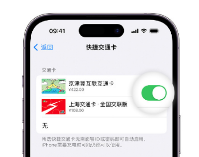 花都apple维修点分享iPhone上更换Apple Pay快捷交通卡手绘卡面 