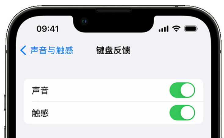 花都苹果手机维修分享iPhone 14触感键盘使用方法 