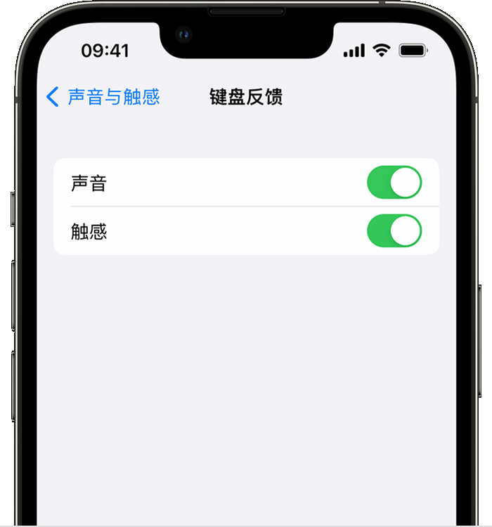 花都苹果14维修店分享如何在 iPhone 14 机型中使用触感键盘 