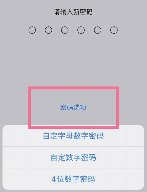 花都苹果14维修分享iPhone 14plus设置密码的方法 