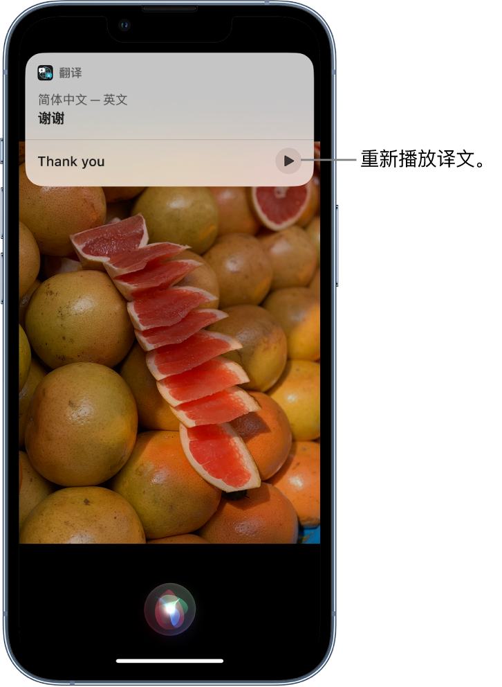 花都苹果14维修分享 iPhone 14 机型中使用 Siri：了解 Siri 能帮你做什么 