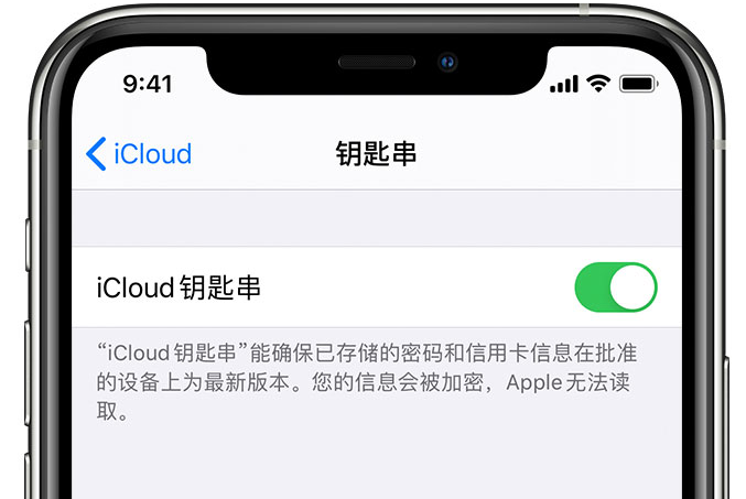 花都苹果手机维修分享在 iPhone 上开启 iCloud 钥匙串之后会储存哪些信息 